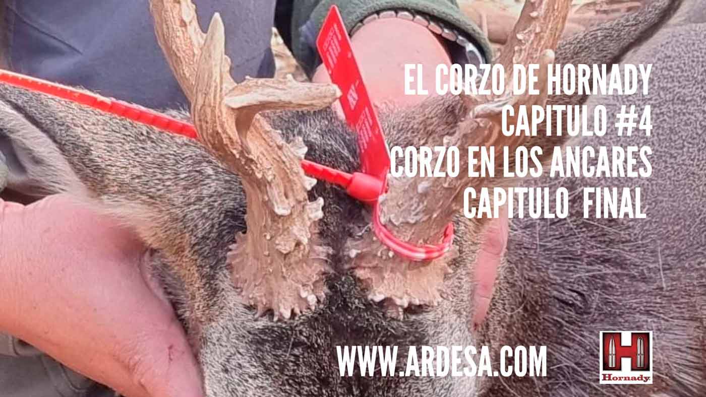 El Corzo De Hornady Cap 4 Cazaflix