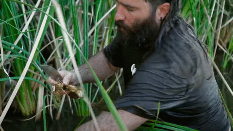 Supervivencia: Cómo encontrar comida junto a un río o lago
