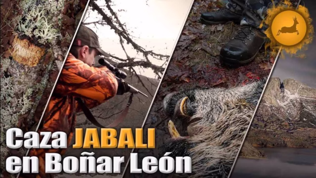 BATIDA-JABALÍ-BOÑAR