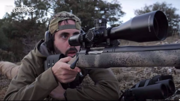 BERGARA CIERVOS