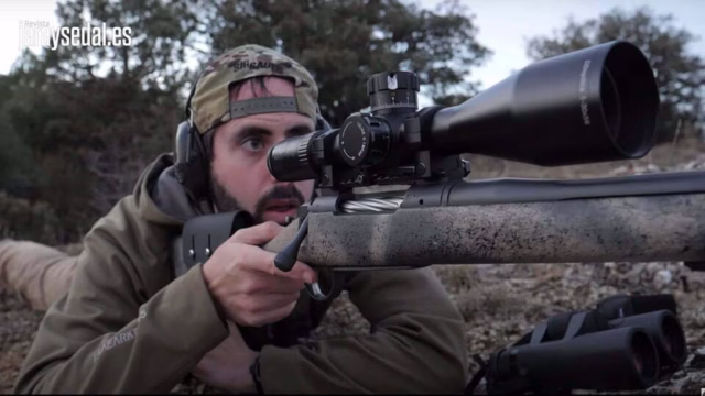 BERGARA CIERVOS