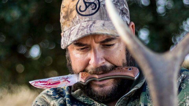 BERREA SIERRA MORENA