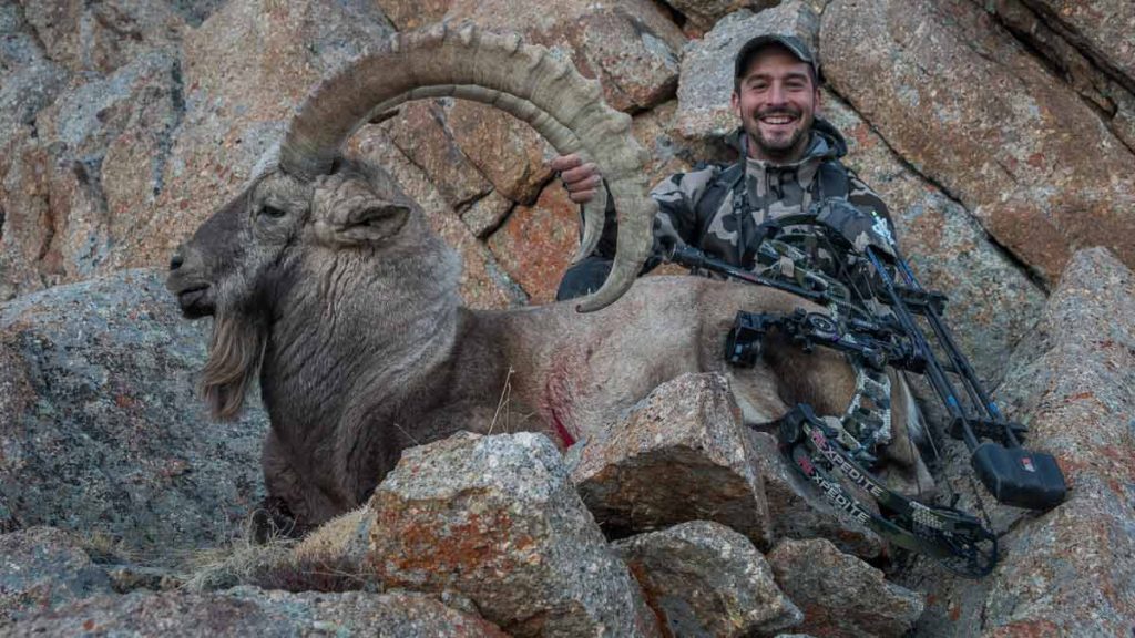 IBEX-ALTAI