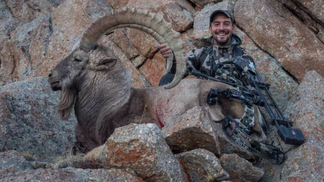 IBEX-ALTAI