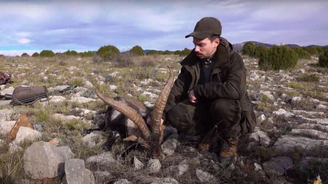 MACHO MONTÉS TERUEL