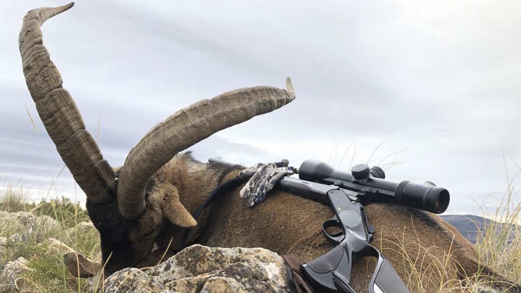 MACHOS-ALPUJARRAS-BLASER