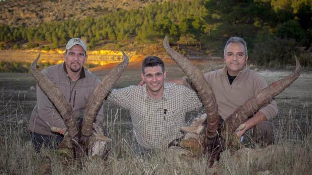 MACHOS-MONTESES-BECEITE