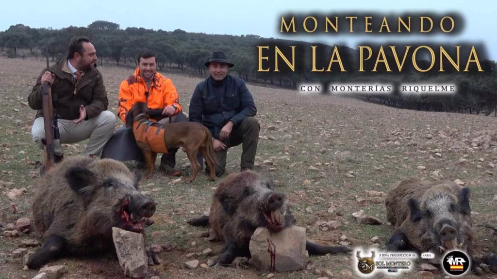 MONTERÍA-LA-PAVONA