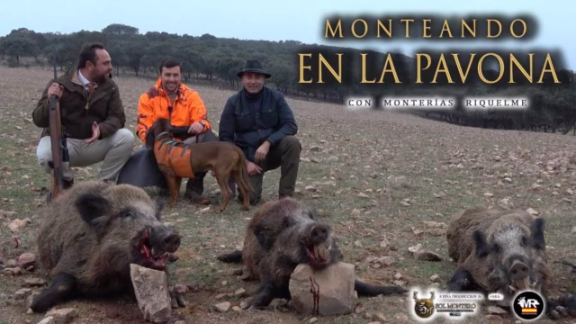 MONTERÍA-LA-PAVONA