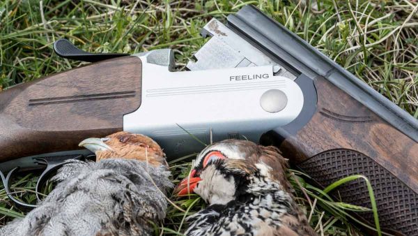 PERDICES-ITALIA-FRANCHI