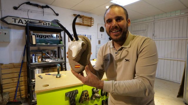 TAXIDERMANÍA-9-DECORACIÓN