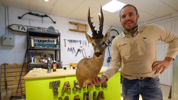 TAXIDERMIA-7-RESTAURAR