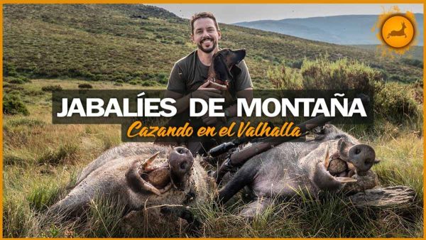 JABALÍES-MONTAÑA-VALHALLA