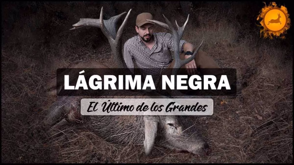 LÁGRIMA-NEGRA