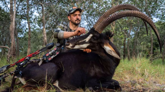 SABLE-MOZAMBIQUE