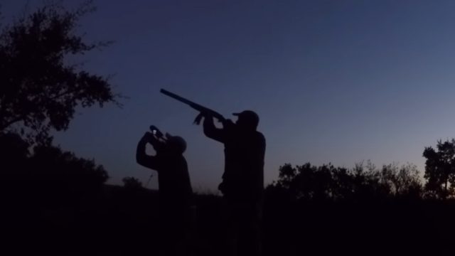 ZORZALES-TIERRAS-ANDALUZAS