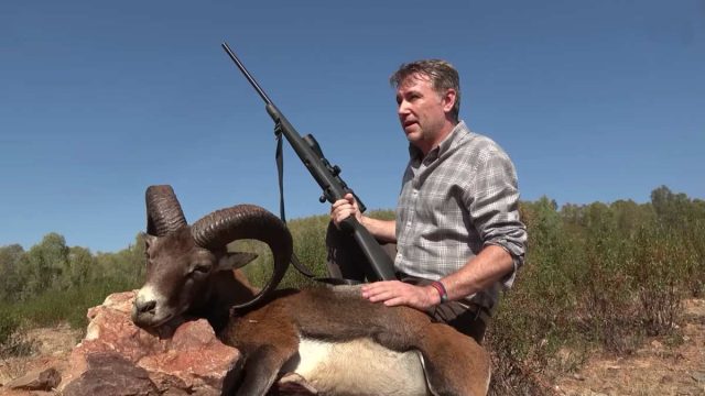 MONTERÍA-EL-GAVILAN-SOL-MONTERO