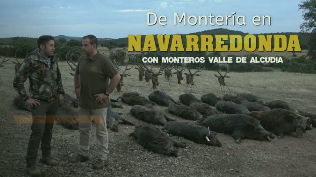 MONTERÍA-NAVARREDONDA