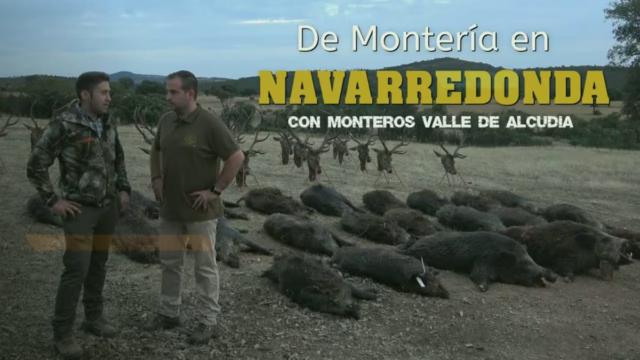 MONTERÍA-NAVARREDONDA