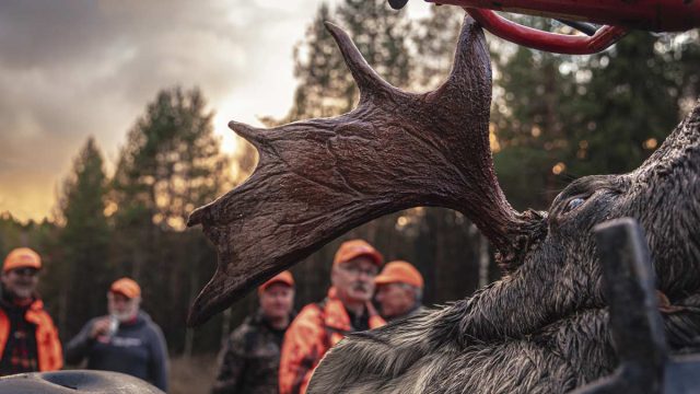 NORMA-VIP-MOOSE-HUNT