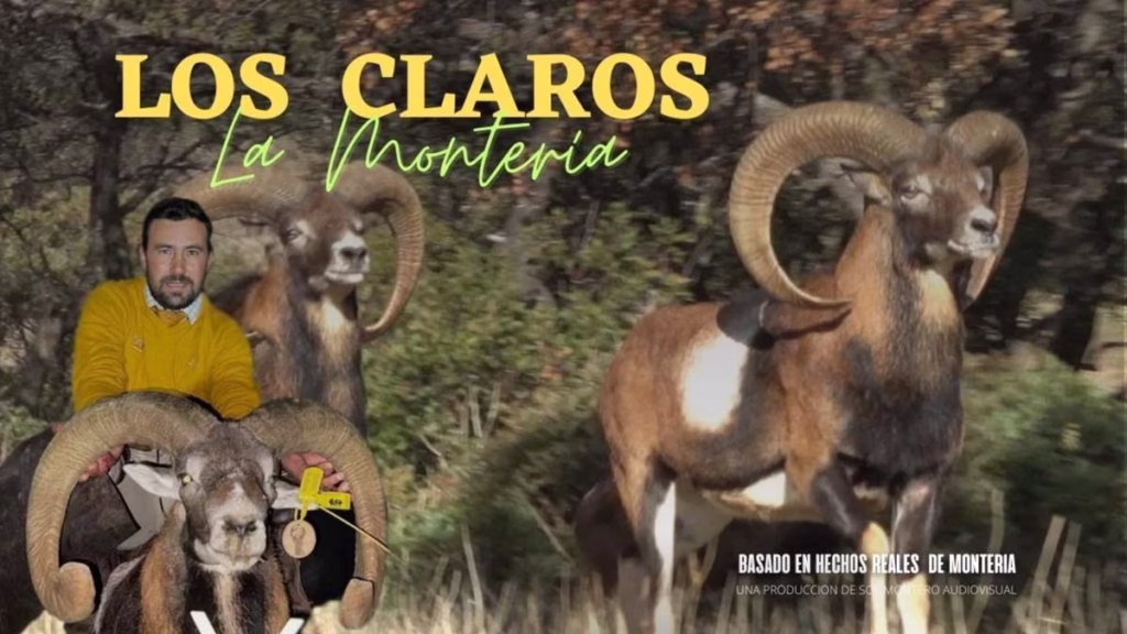 CLAROS-MONTERÍA-RIQUELME