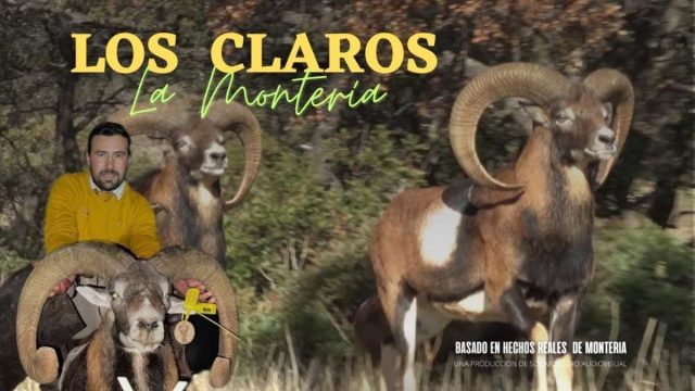 CLAROS-MONTERÍA-RIQUELME