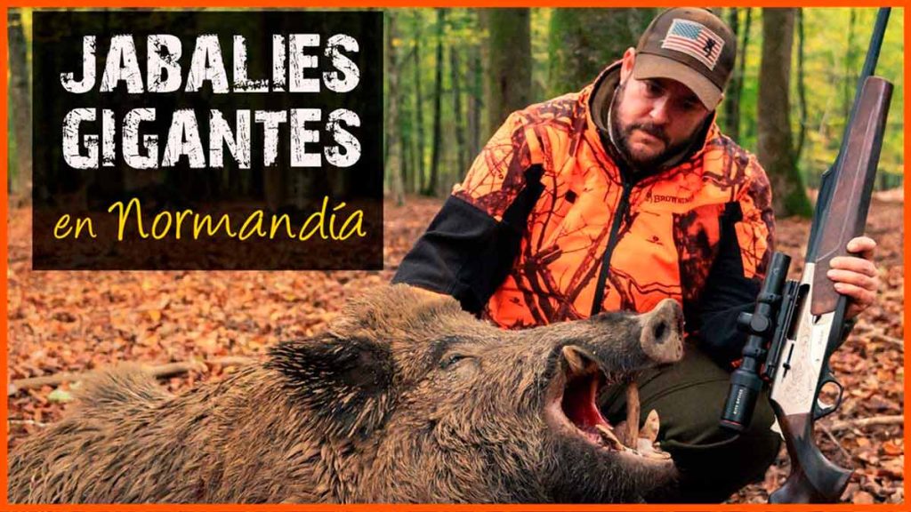 JABALÍES-NORMANDÍA-BROWNING