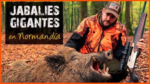 JABALÍES-NORMANDÍA-BROWNING