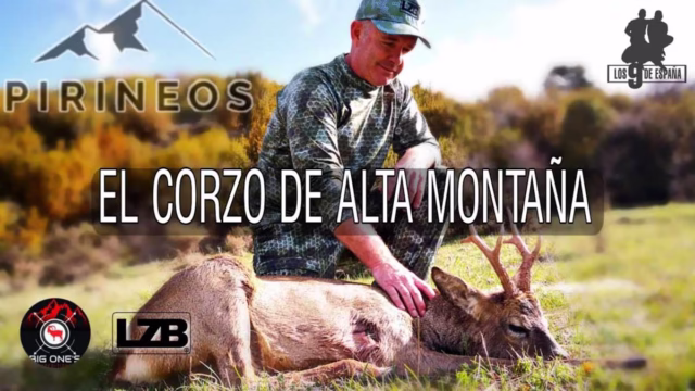 LZB-CORZO-PIRINEO