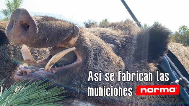 MUNICIÓN-NORMA