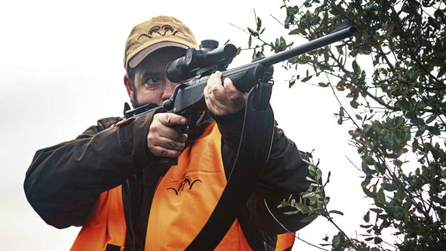 PERDICES-JABALÍES-CÓRCEGA