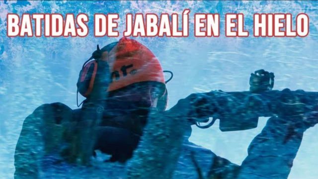 BATIDAS-HIELO-AIMPOINT