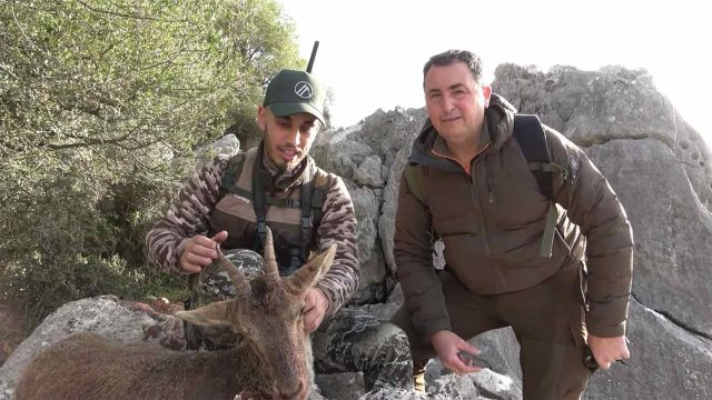 CABRAS-UBRIQUE-ALPEN