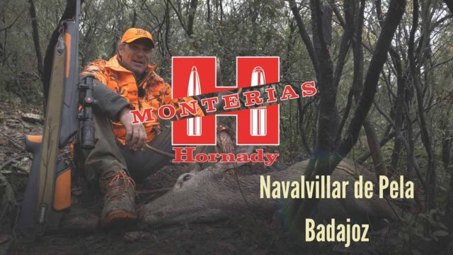 MONTERÍA-HORNADY-NACALVILLAR