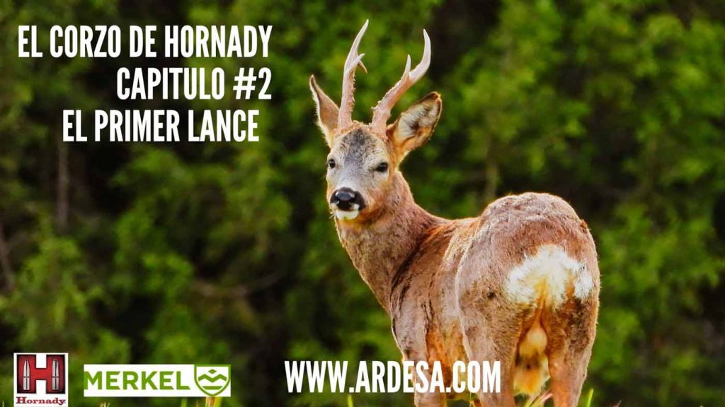CORZO-HORNADY-2