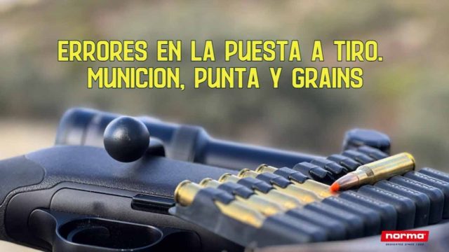 ERRORES-PUESTA-A-TIRO