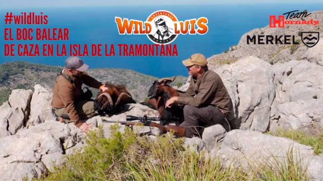WILD-LUIS-1-BOC