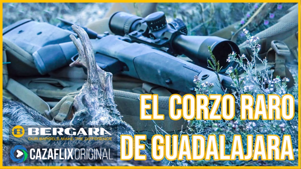 corzo-raro-guadalajara
