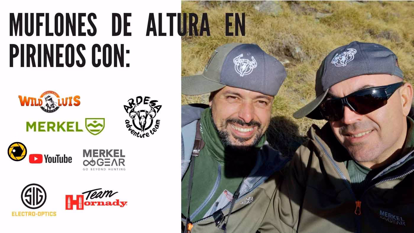 muflones-pirineos-2