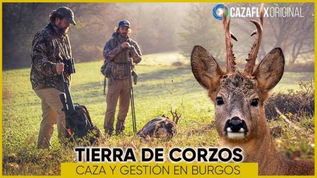 tierra-de-corzos2