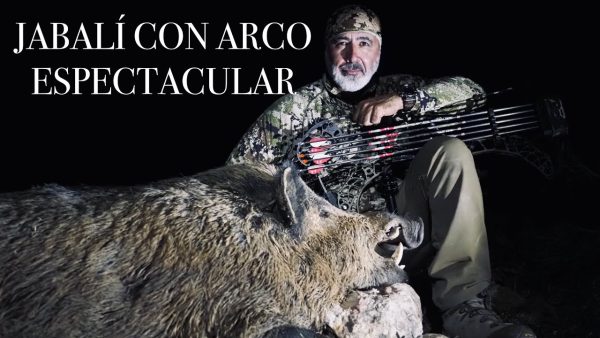 JABALÍ CARRILLO ARCO