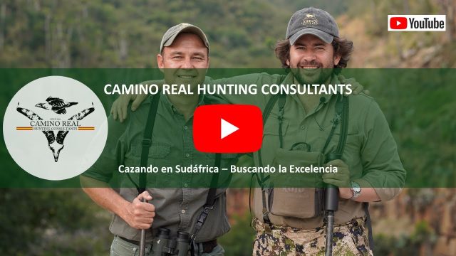 CAMINO REAL SUDAFRICA