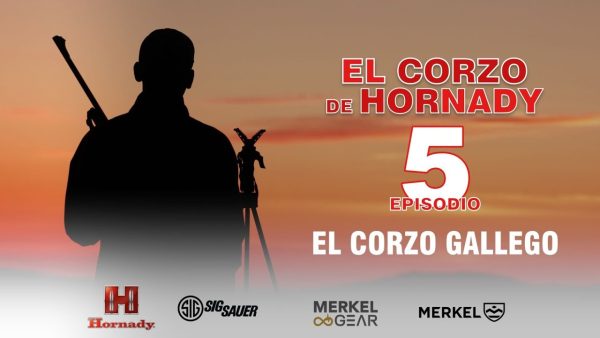 CORZO HORNADY 5