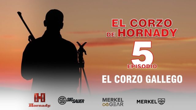 CORZO HORNADY 5
