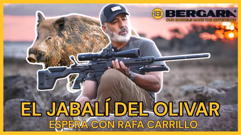 EL-JABALÍ-DEL-OLIVAR