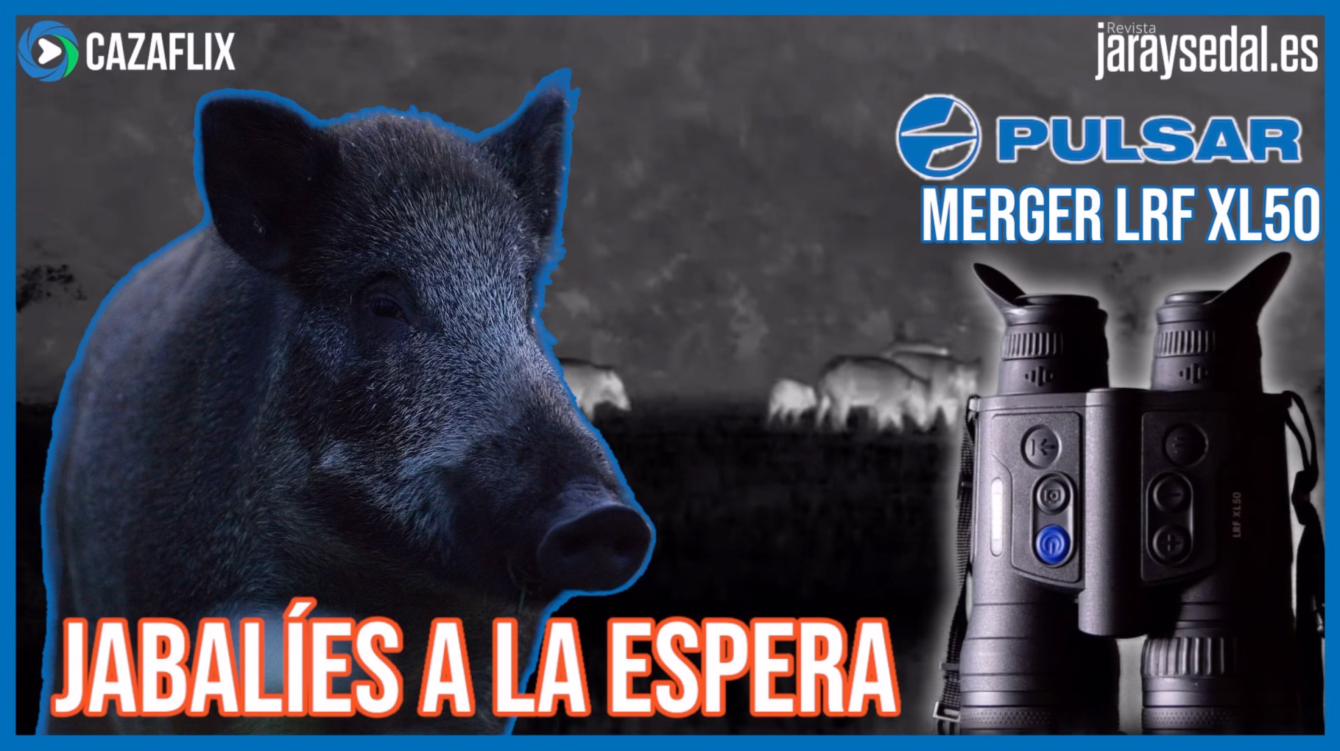 Jabalíes a la espera con Pulsar