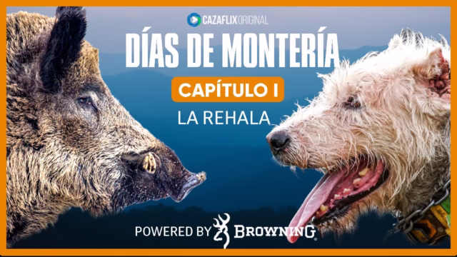 Días de Montería #1 | La rehala