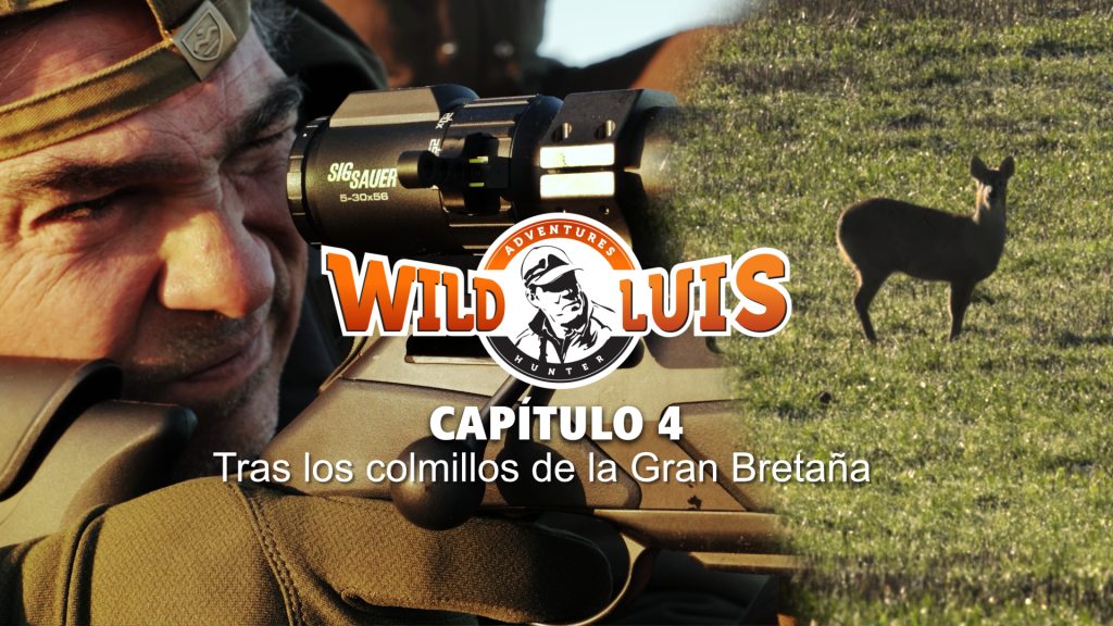 LOGO WILD LUIS ALPHA TIFF00000254