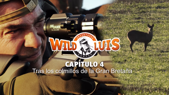 LOGO WILD LUIS ALPHA TIFF00000254