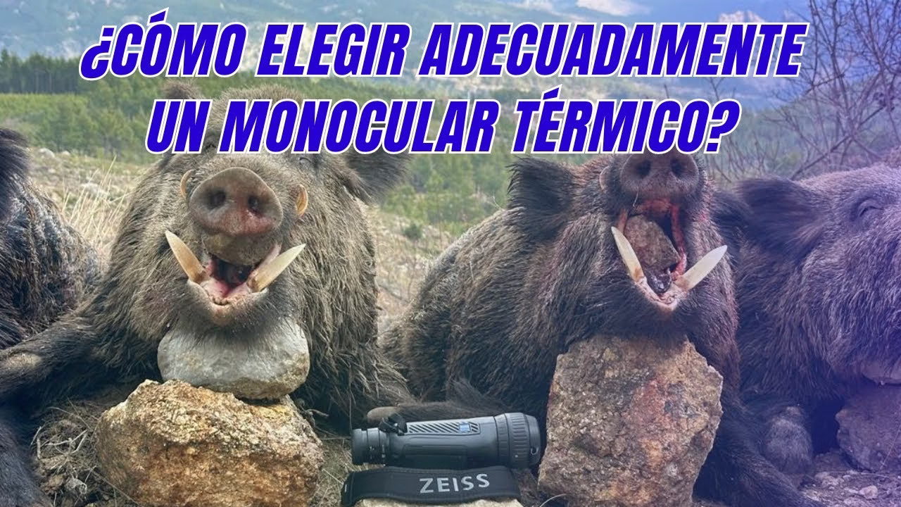 TÉRMICO EXCOPESA
